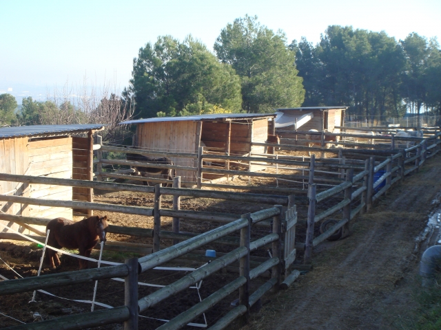  Paddock Area 